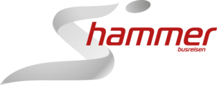 Logo hammer
