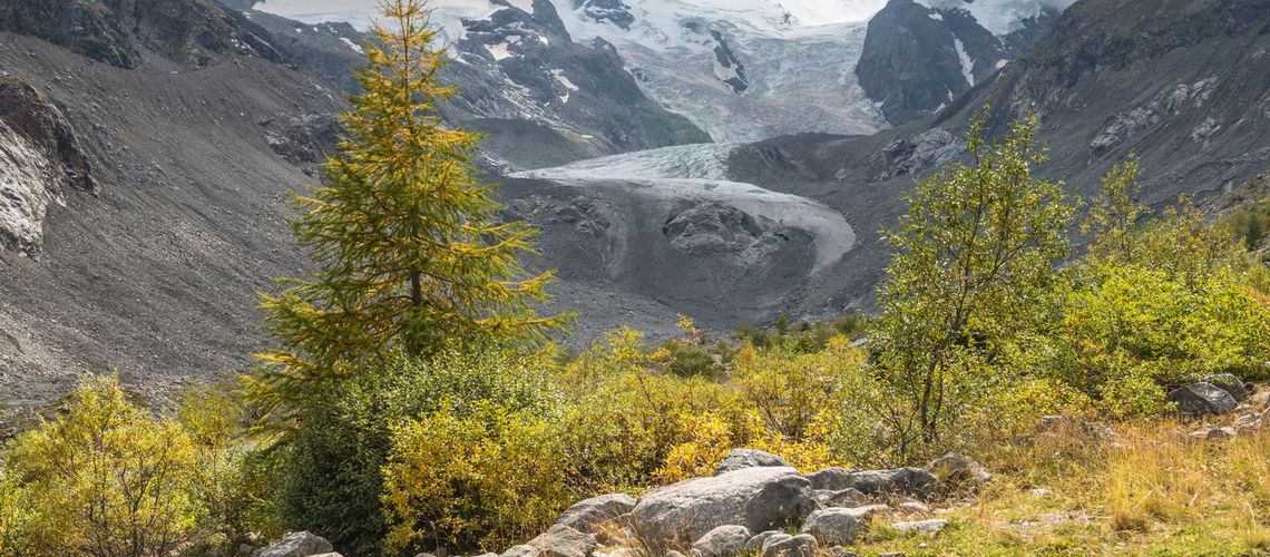 Der Glacier-Express ist ein auf den Tourismus ausgerichtetes Schnellzugangebot auf den Bahnnetzen der Rhätischen Bahn sowie der Matterhorn-Gotthard-Bahn in der Schweiz.