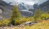 Der Glacier-Express ist ein auf den Tourismus ausgerichtetes Schnellzugangebot auf den Bahnnetzen der Rhätischen Bahn sowie der Matterhorn-Gotthard-Bahn in der Schweiz.