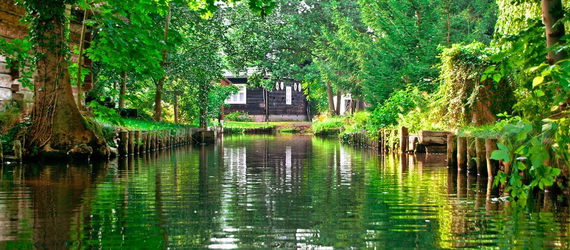 Hauptmerkmal ist die natürliche Flusslaufverzweigung der Spree, die durch angelegte Kanäle deutlich erweitert wurde. Als Auen- und Moorlandschaft besitzt sie für den Naturschutz überregionale Bedeutung und ist als Biosphärenreservat geschützt. Der S