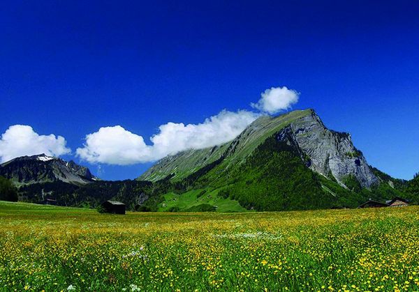 Bregenzerwald ist die Bezeichnung für eine Region im österreichischen Bundesland Vorarlberg. Diese umfasst im Wesentlichen das Einzugsgebiet der Bregenzer Ach südöstlich von Bregenz, in der Nähe des Bodensees, bis an den Hochtannbergpass.